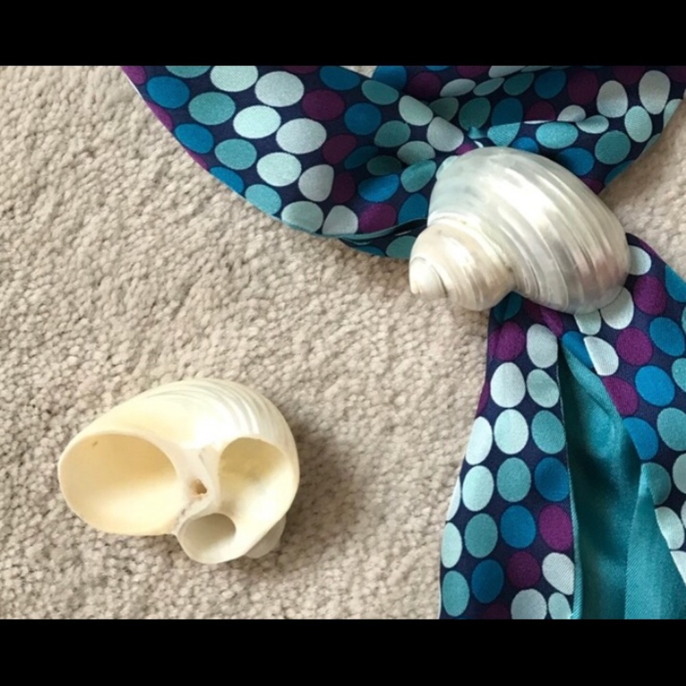 Shell Scarf Holder ($8 or 2for$15)
